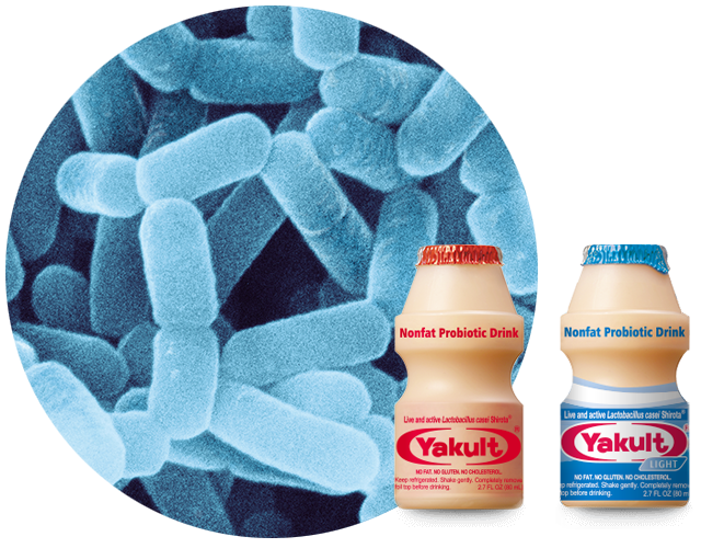 Yakult &amp; Yakult Light Product Information | Yakult &amp; Yakult Light |  Probiotic Drink