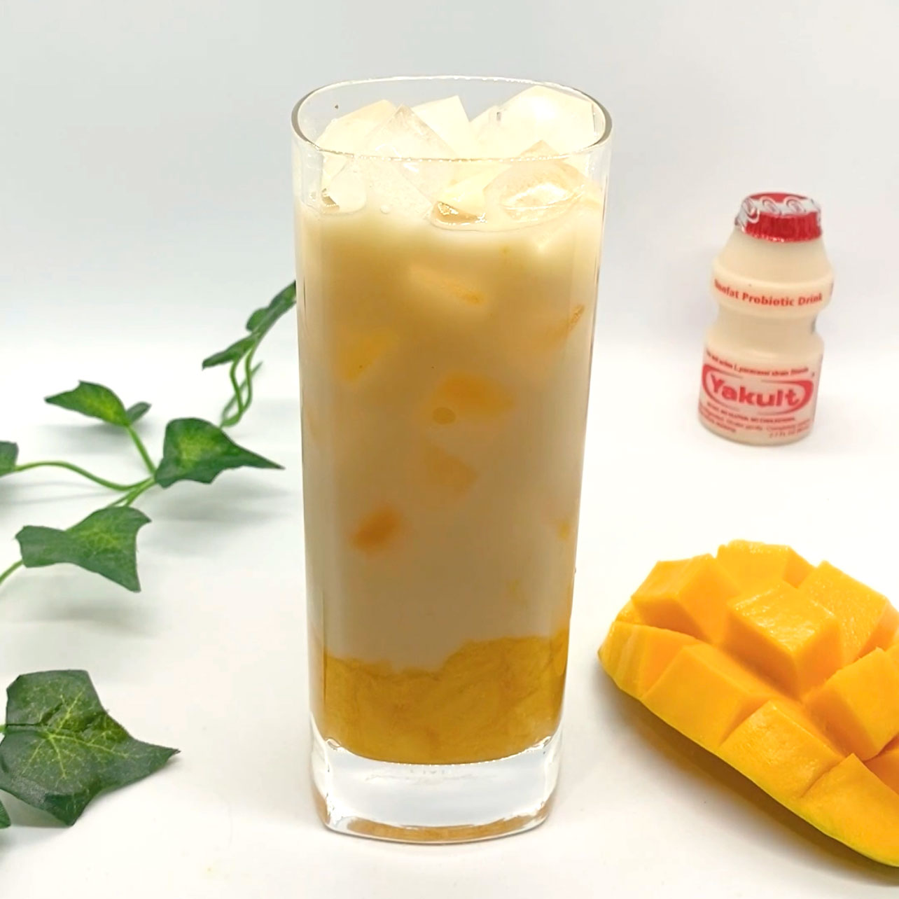 Mango Yakult Yakult Yakult Light Probiotic Drink