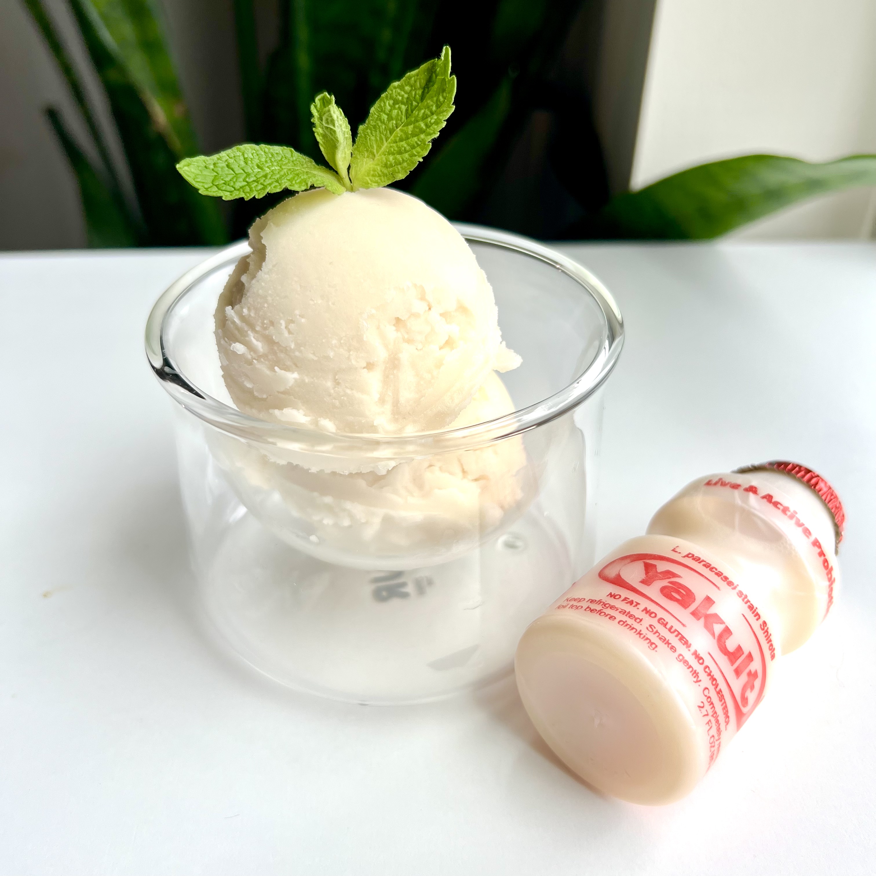 Yakult Sherbet recipe Yakult USA