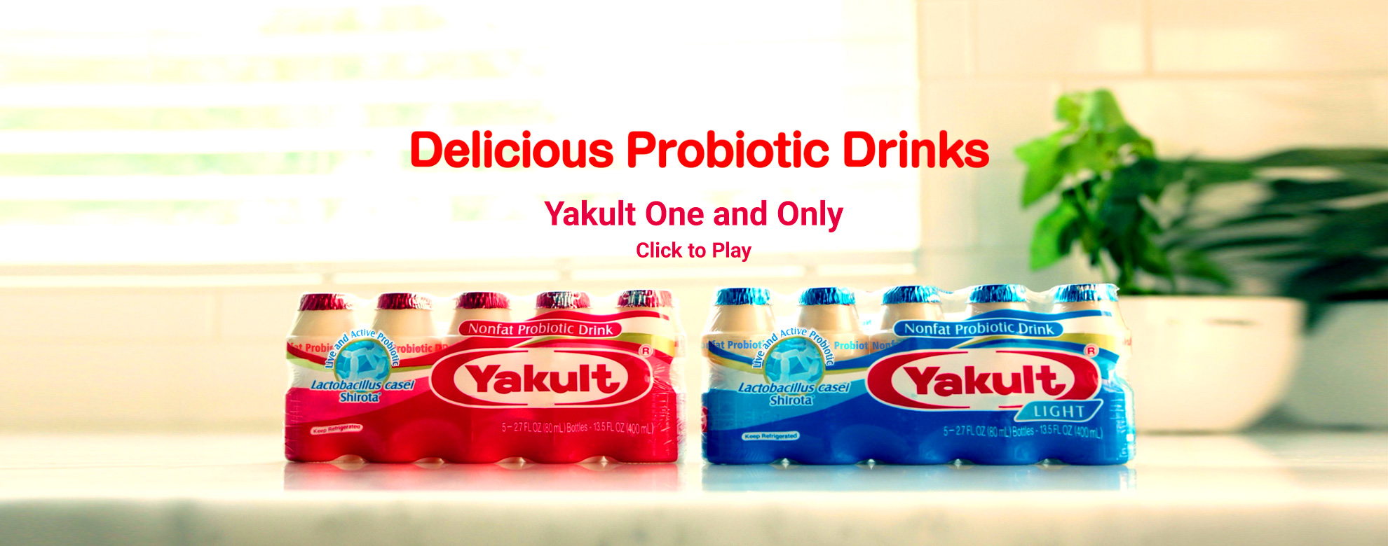 Yakult & Yakult Light Probiotic Drink » Blog Archive » slidercover04